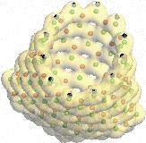 Molecules