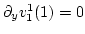 $\partial_y v^1_1(1) = 0$